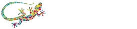 GeekCo srl